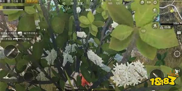 和平精英单排与组排的区别