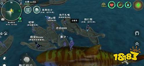 创造与魔法虎皮鲨获得方式 创造与魔法虎皮鲨怎么得