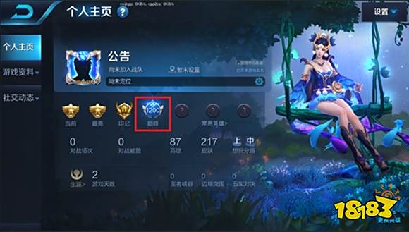 王者荣耀巅峰王者