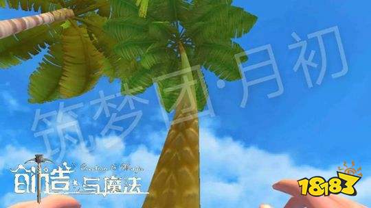 创造与魔法树木分布点