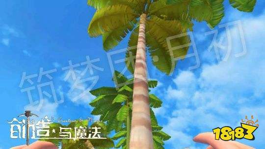 创造与魔法树木分布点