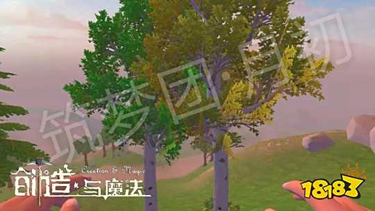 创造与魔法树木分布点