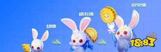 QQ飞车手游月兔详细分析 月兔属性技能介绍