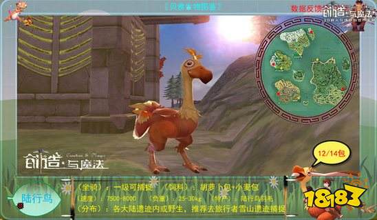 创造与魔法陆行鸟怎么抓