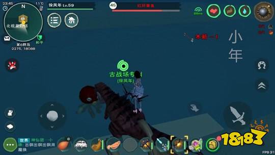 创造与魔法飞龙怎么抓