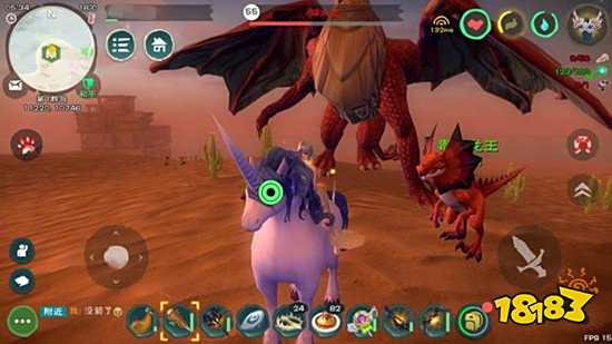 创造与魔法飞龙怎么抓