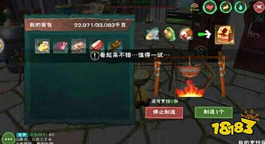 创造与魔法飞龙怎么抓