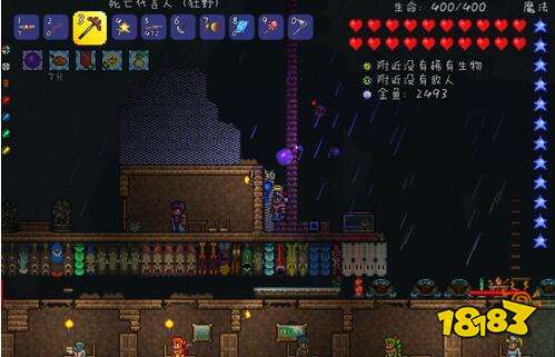 泰拉瑞亚金鱼怎么抓 泰拉瑞亚金鱼抓捕方法