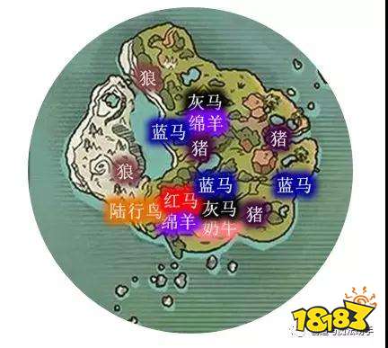 创造与魔法晨雾森林资源分布