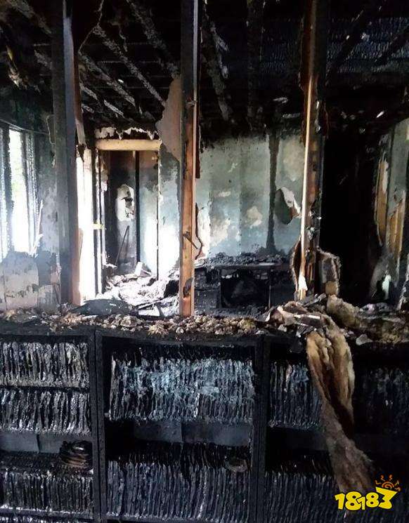 ���Ɐ������ղ���Ϸ��ʮ�꣬һҹ֮�仯Ϊ����