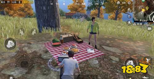 刺激战场野餐点在哪
