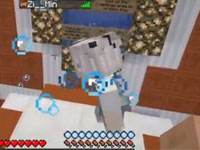 籽岷我的世界1.13多人：海豚竞速终极版