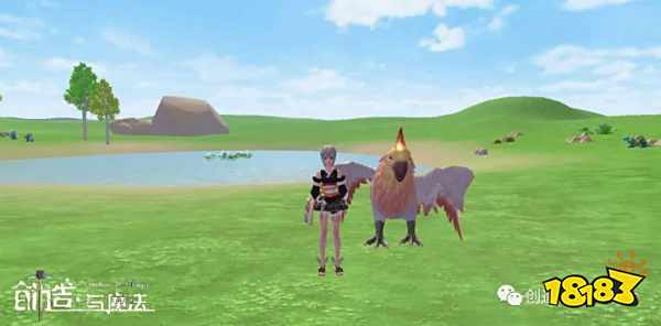 创造与魔法：版本更新前瞻无人机与云斑鹦鸟即将上线！