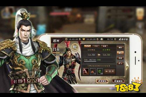 真三国无双霸