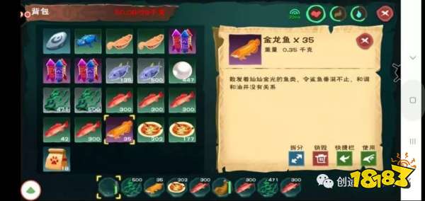 創造與魔法金龍魚