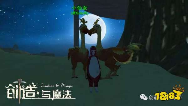 创造与魔法新版本陆行鸟刷新位置