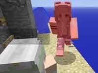 <b>我的世界籽岷的1.12多人跑酷：掘地求升</b>