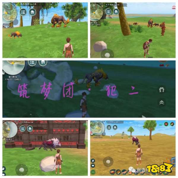 創造與魔法白金海灣
