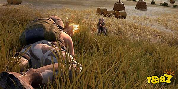 和平精英不能开枪怎么办