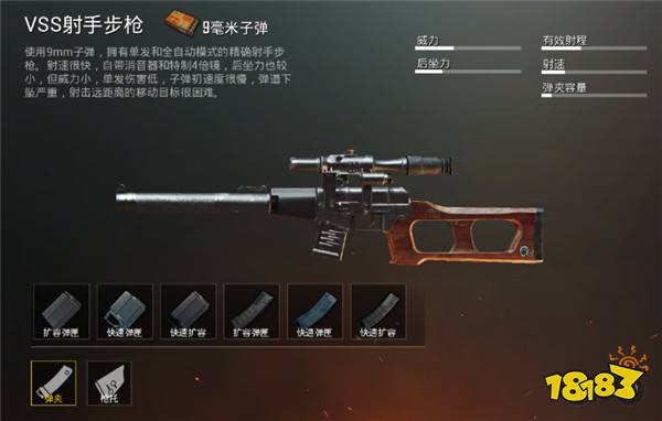冷门狙击VSS射手步枪介绍 偷人神器了解一下