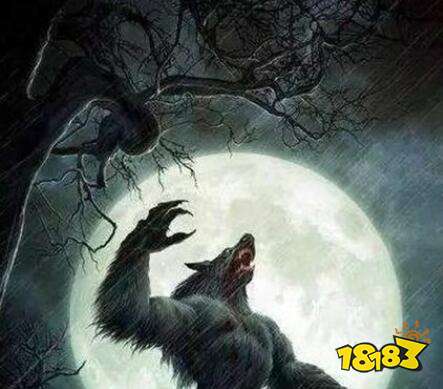 天天狼人杀高配狼常玩的技巧 对11个人撒谎的方法