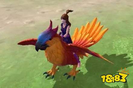 创造与魔法小创君的宝贝怎么拿 小创君的宝贝获取途径