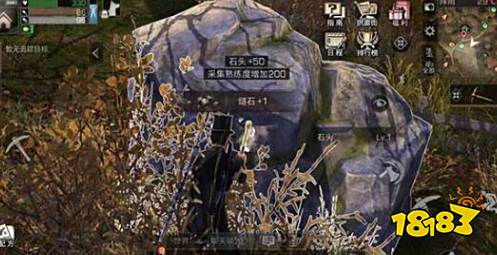 明日之后秋日森林宝箱在哪