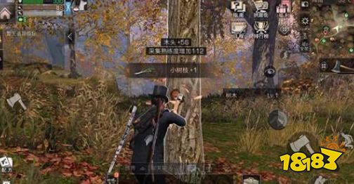 明日之后秋日森林宝箱在哪