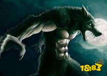 天天狼人杀判断焦点牌 尽量站对边