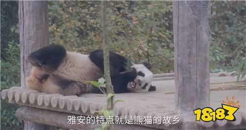 另类沉浸式体验，仙剑奇侠传4的熊猫仙剑情