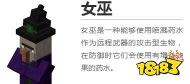 我的世界女巫