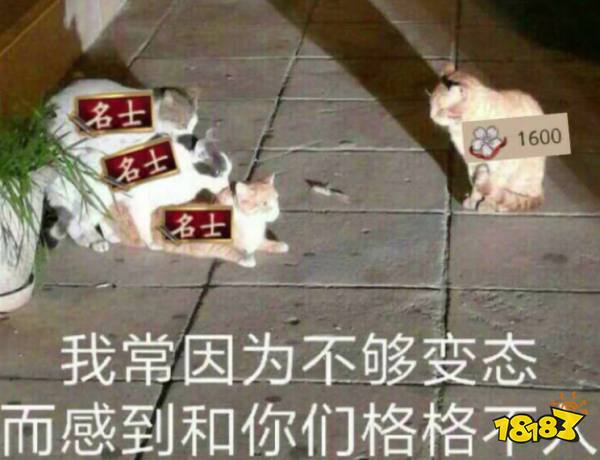 来看看阴阳师这周又出了哪些沙雕表情包