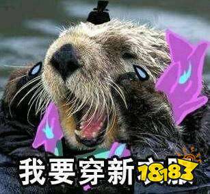 阴阳师荒川之主恐成平安京最悲情SSR式神