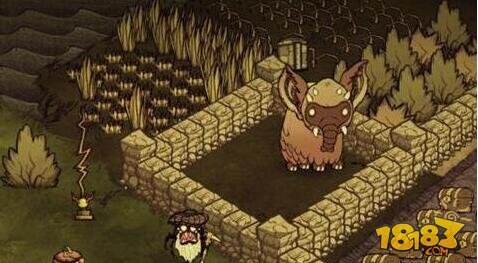 饥荒如何饲养大象方法 饲养方法介绍