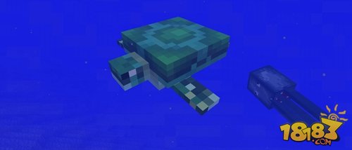 我的世界海龟即将加入 Minecraft新生物添加已确定
