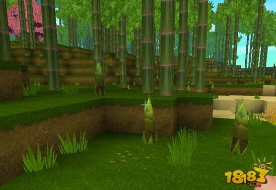 迷你世界竹林在哪里