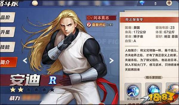 身动拳场 拳皇命运手游格斗家安迪基本信息简介