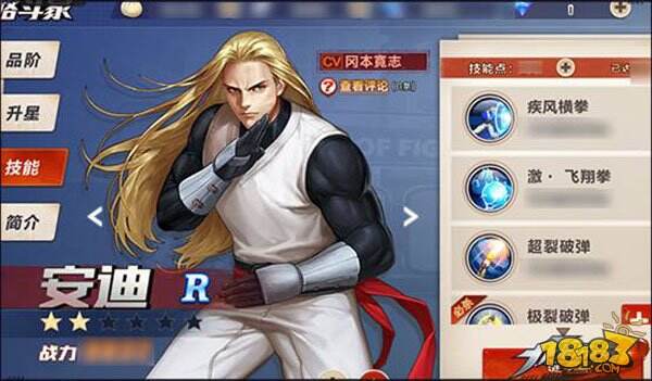 身动拳场 拳皇命运手游格斗家安迪基本信息简介