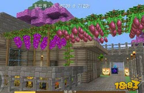 奶块葡萄种子获取以及种植技巧详细攻略