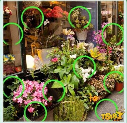 微信大家来找茬2月26日每日挑战答案一览