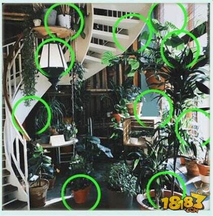 微信大家来找茬3月5日每日挑战答案一览