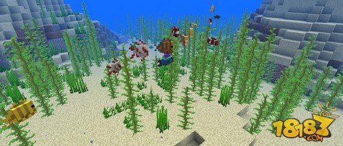 我的世界18w10b发布 新增死珊瑚方块和热带鱼音效