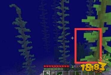 我的世界危险溺尸来袭 水下危险系数上升