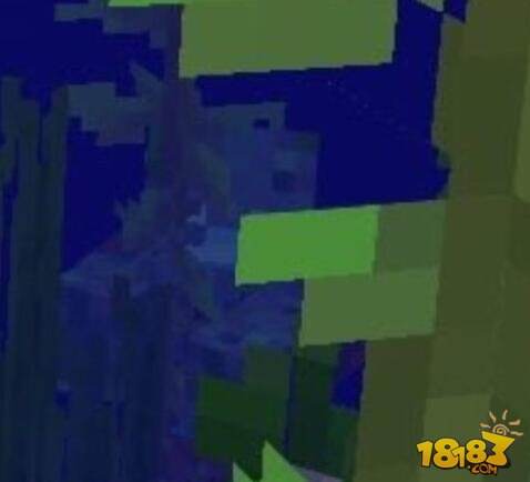 我的世界危险溺尸来袭 水下危险系数上升