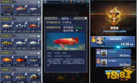 釣魚小白成長指南 手把手教你玩轉釣魚王者