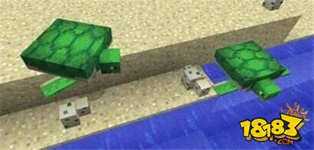 我的世界海龟壳怎么得 我的世界海龟壳有什么用