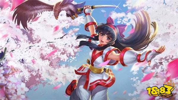 王者荣耀战力最强的八个刺客英雄 谁是你的最爱