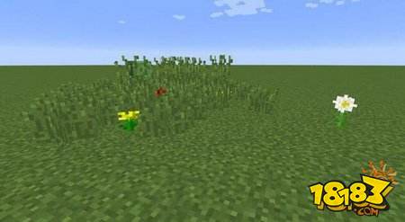 我的世界你见过等半个小时才爆炸的TNT吗?