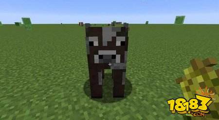 我的世界你见过等半个小时才爆炸的TNT吗?