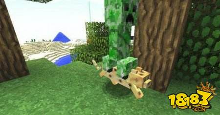 我的世界令玩家发抖的组合 你见过僵尸骑僵尸吗